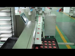 Máy làm bánh quy cắt lát Máy sản xuất bánh quy 100g